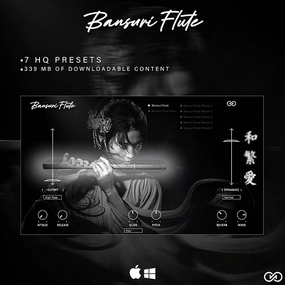 Infinite Audio Bansuri Flute