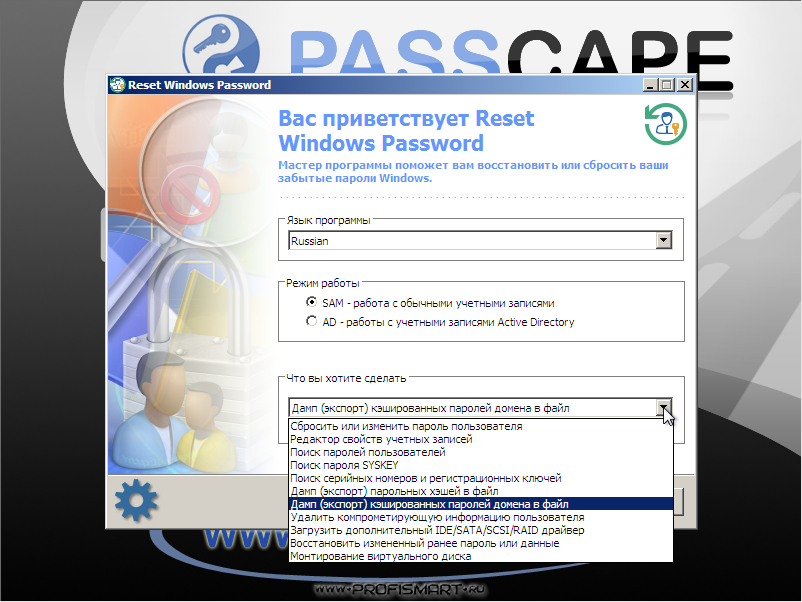 Passcape Software Reset Windows Password