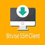 Bitvise SSH Client 9.25 скачать с 1progs бесплатно программу на ...