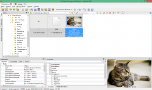 download xnviewmp 1.4.3 download xnviewmp 1.4.3