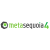 Metasequoia 4.8.5 полная версия