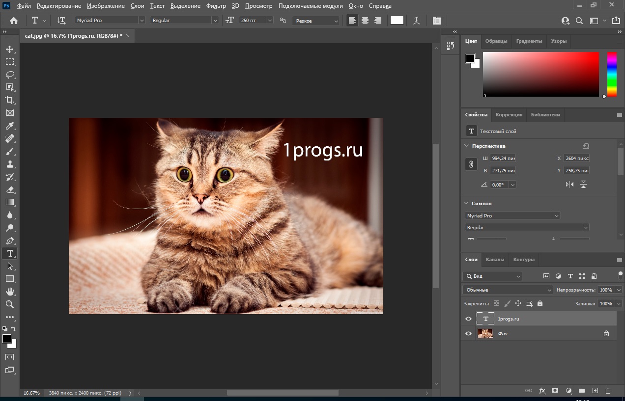 Photoshop