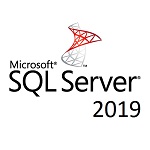 Microsoft SQL Server 2019 logo