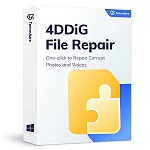 4DDiG File Repair logo
