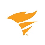 Kiwi Syslog Server logo
